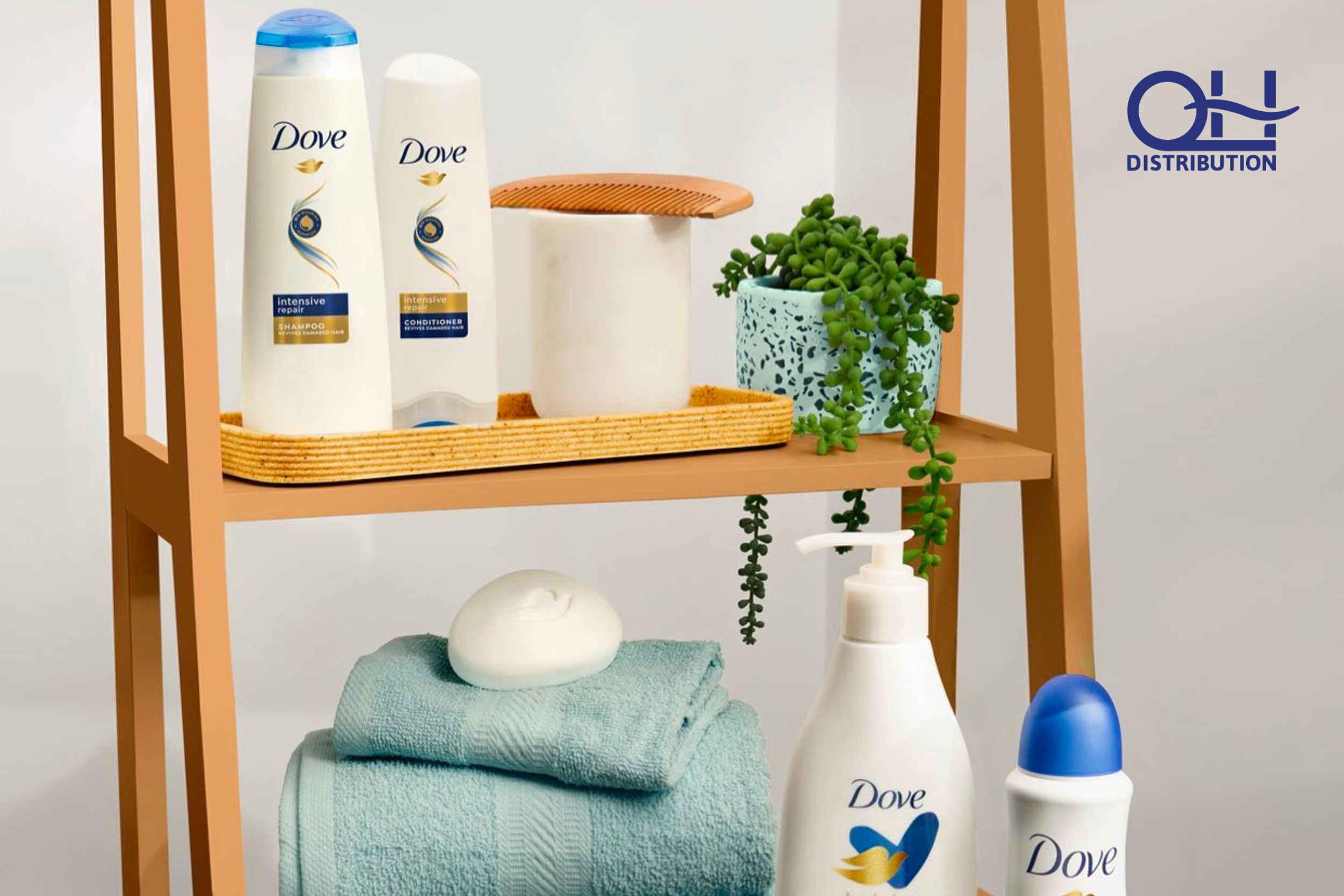 Dove Body Wash Wholesale The Best Deals is Here! Qhdistribution