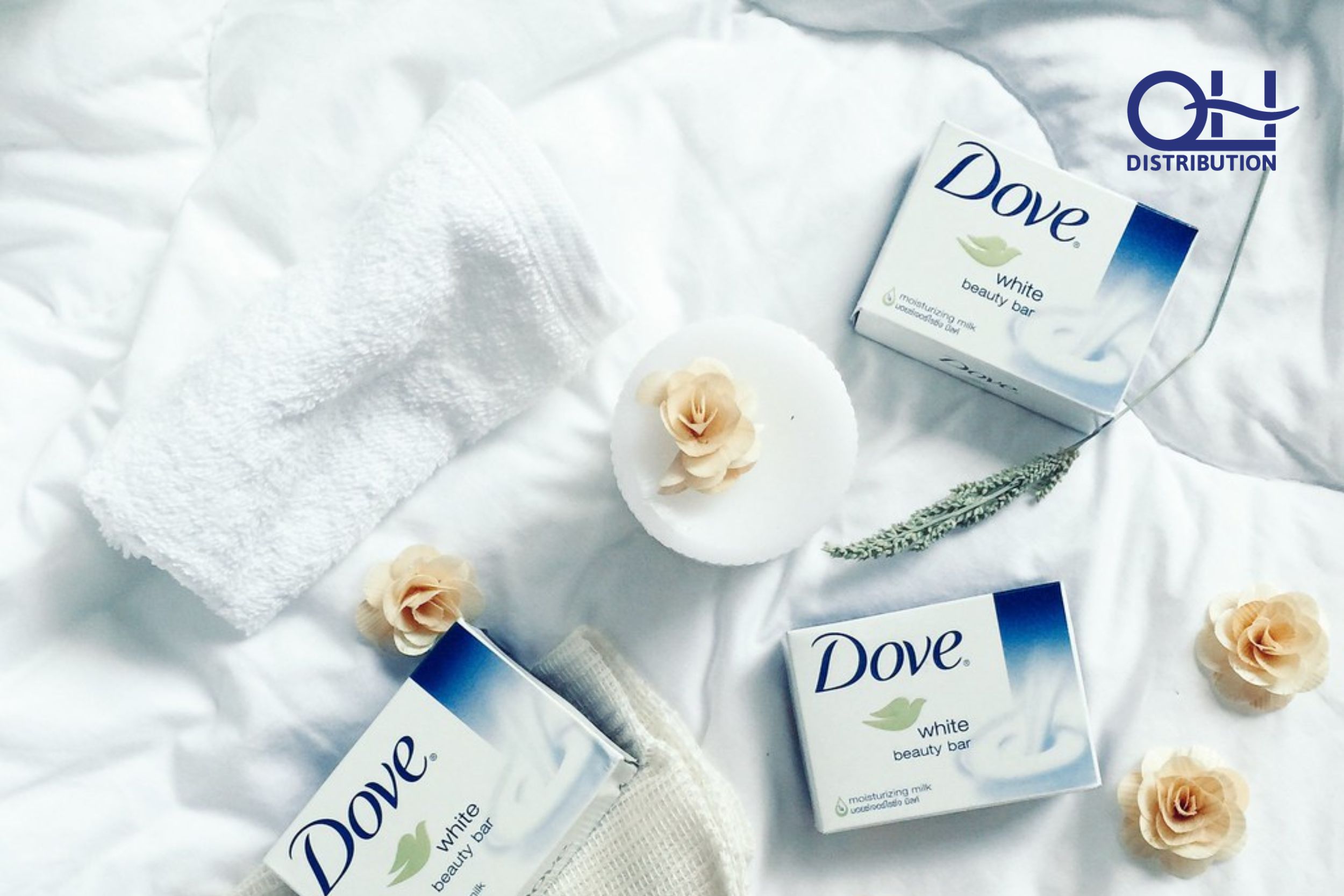 Dove Soap wholesale